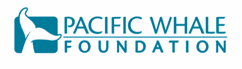 Pacific Whale Foundation